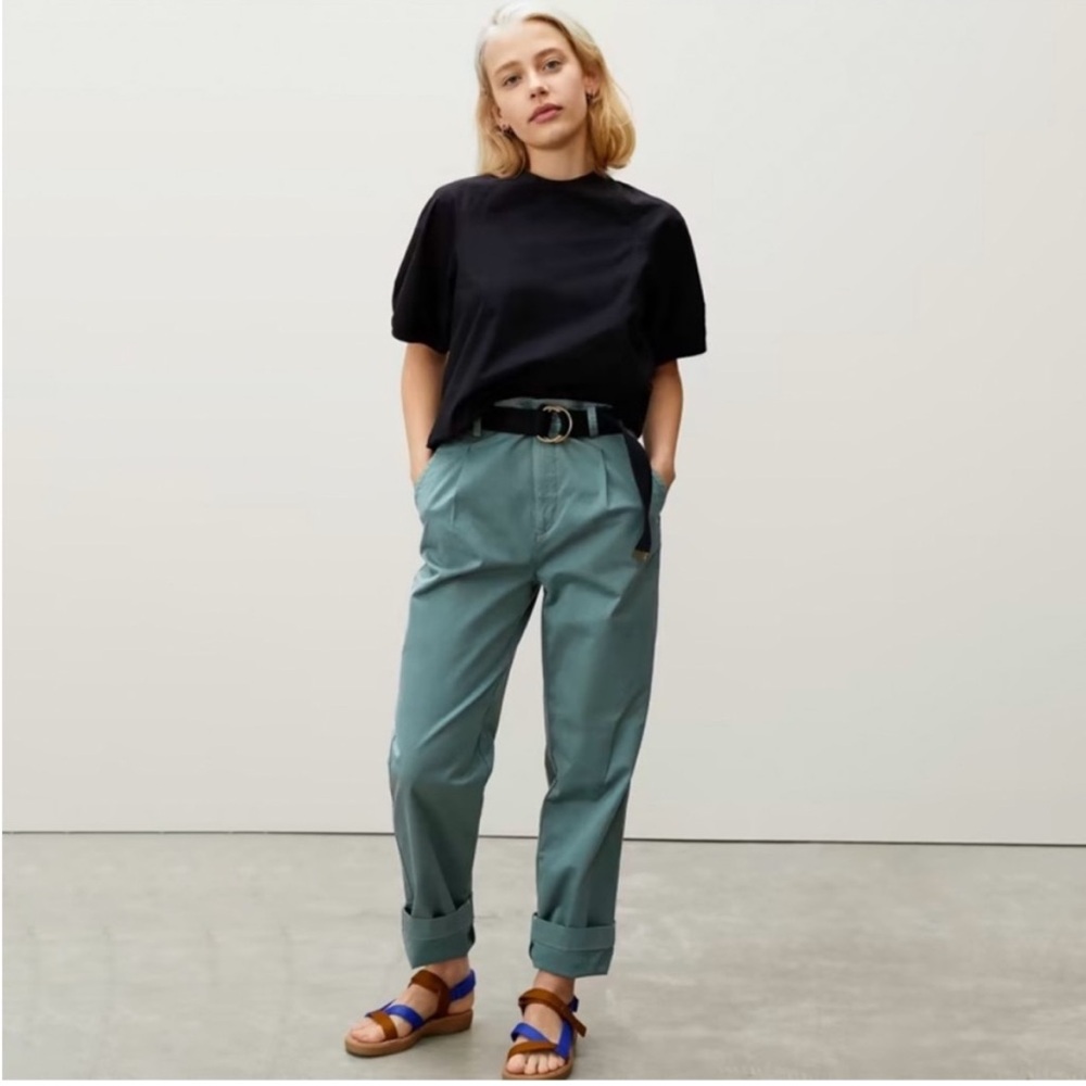 Everlane The Pleated Chino Balsam Green Size 4